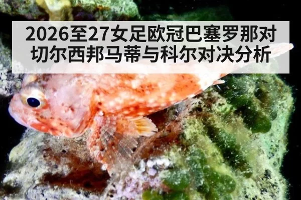 2026至27女足欧冠巴塞罗那对切尔西邦马蒂与科尔对决分析